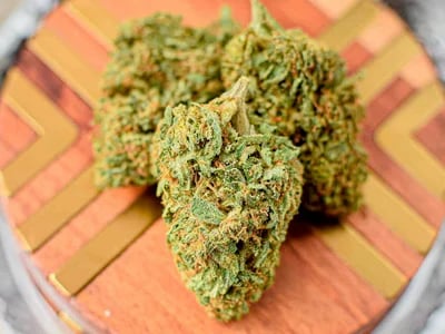 UK Guide to THCA Flower: Medical Insights and Legal Overview