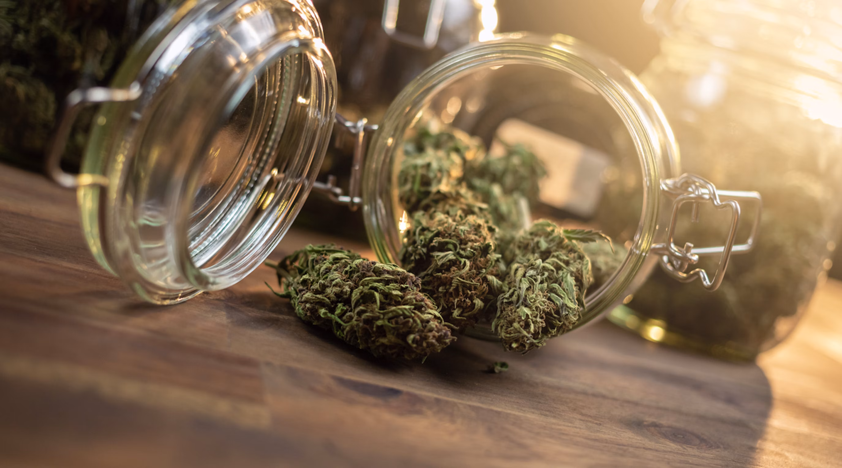 Premium Cannabis Made Easy with Coastal Delivery and Our Handpicked Strain Selection