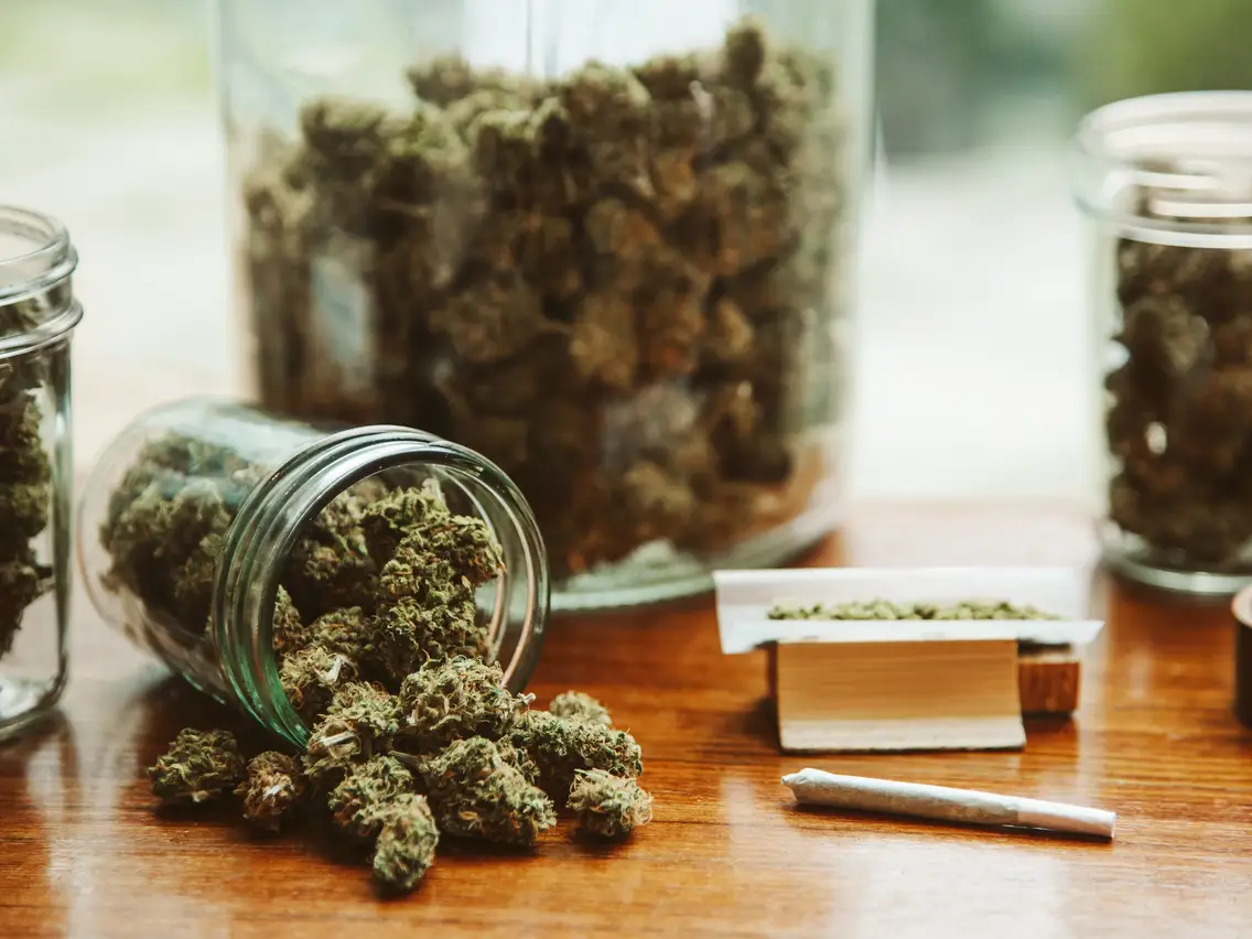 Compra al por mayor con calidad garantizada gracias a small buds CBD wholesale de La Cosechera