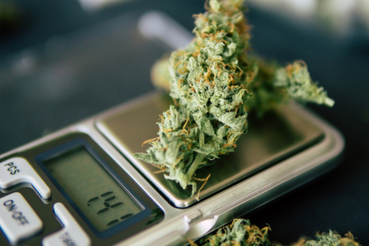 CBD OG Kush from Green Leaf Store EU: Where Quality Meets Compassionate Care