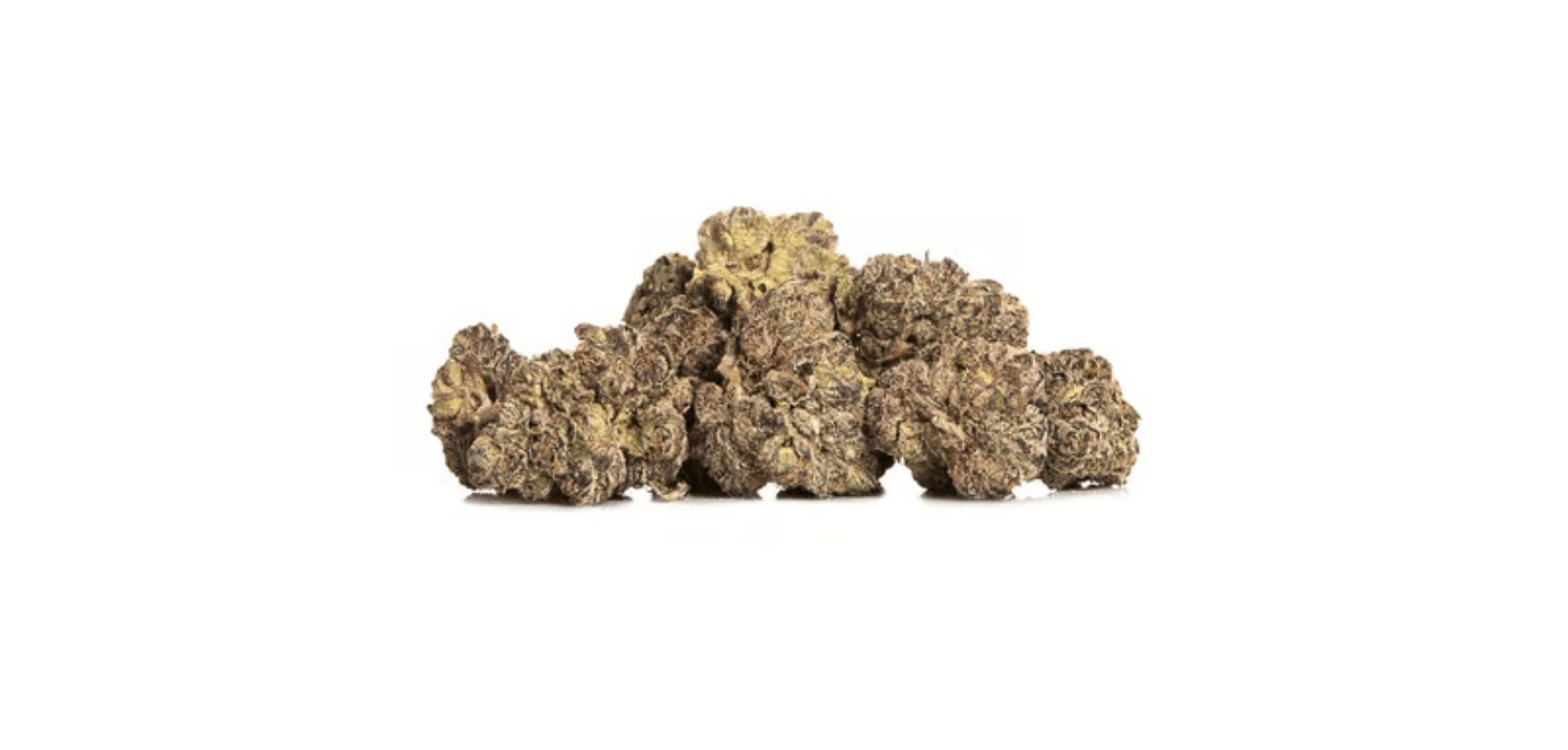 Order Jealousy Runtz Strain Online from a Reliable and Discreet Weed Provider
