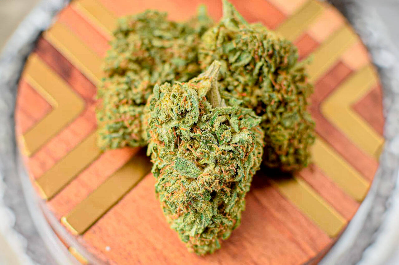 UK Guide to THCA Flower: Medical Insights and Legal Overview