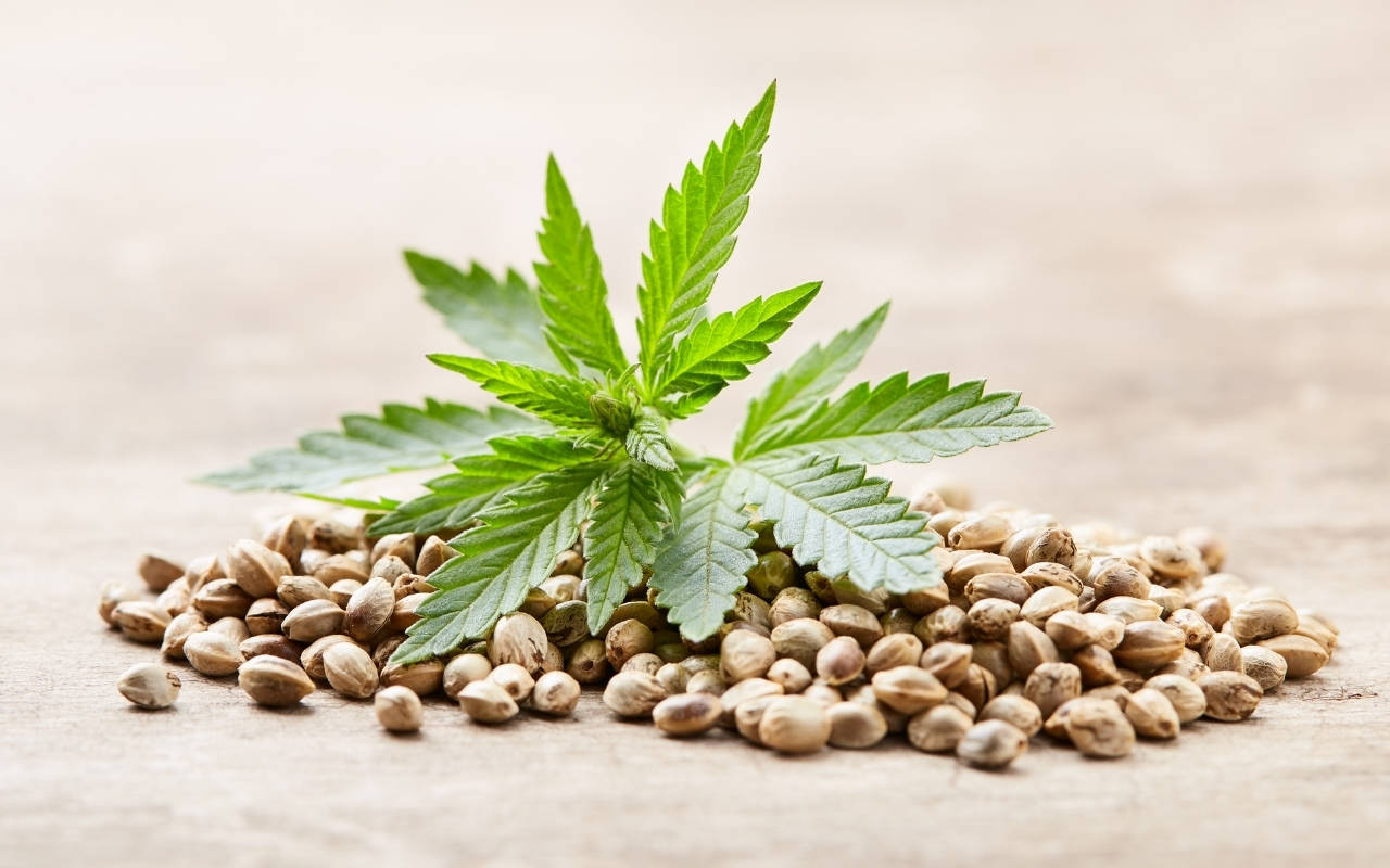 Buy Weed Online Australia – Keyword Analysis for Cannabis Websites